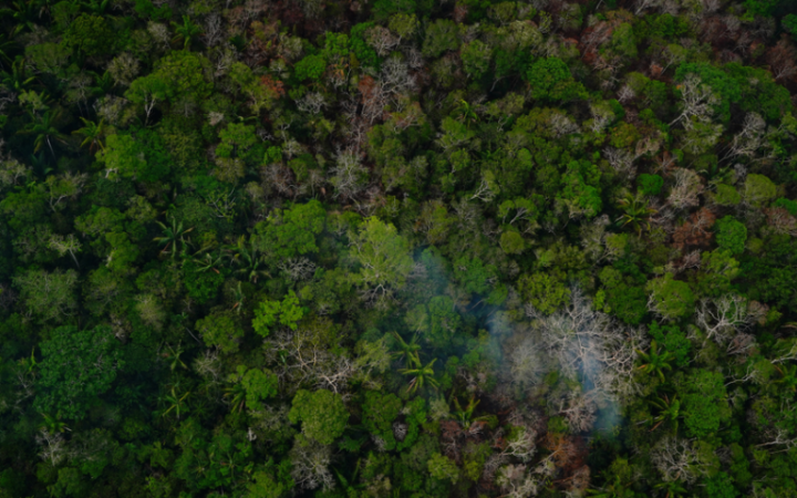 Vista aérea de floresta com áreas de vegetação atingida e fumaça, em imagem divulgada pelo MMA em 17 de outubro de 2026