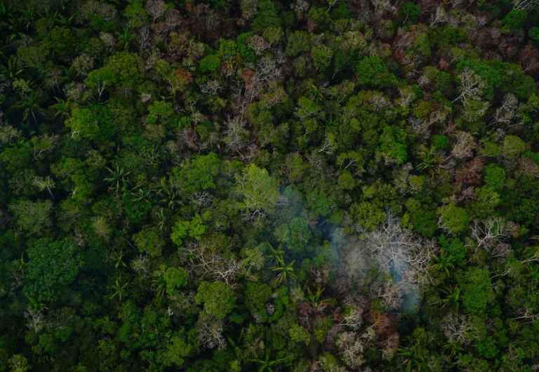 Vista aérea de floresta com áreas de vegetação atingida e fumaça, em imagem divulgada pelo MMA em 17 de outubro de 2026
