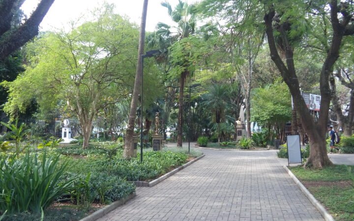 Alameda arborizada nos jardins do Parque São Jorge, sede social do Corinthians.