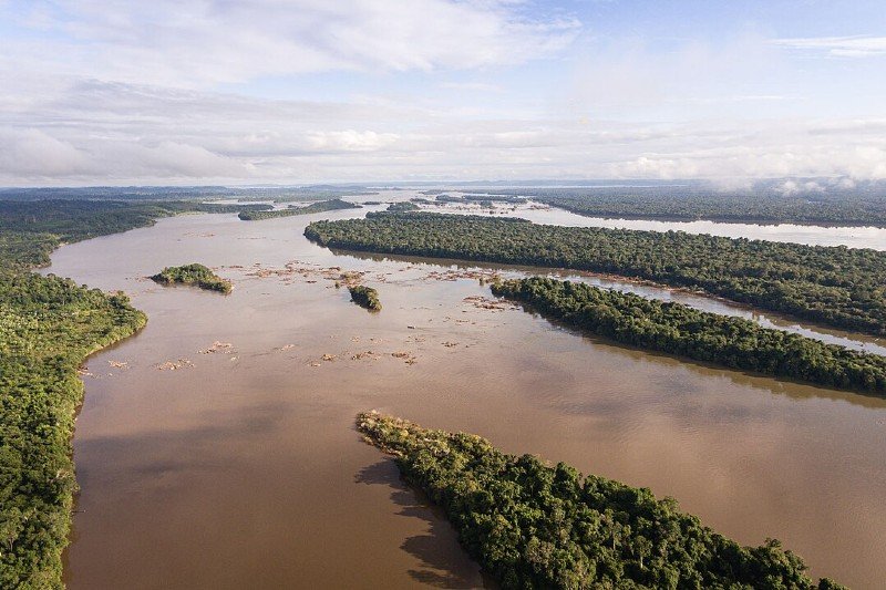 Vista aérea de rios e ilhas cobertas de floresta na região de São Francisco Souzel, no Pará